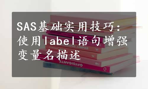 SAS基础实用技巧：使用label语句增强变量名描述