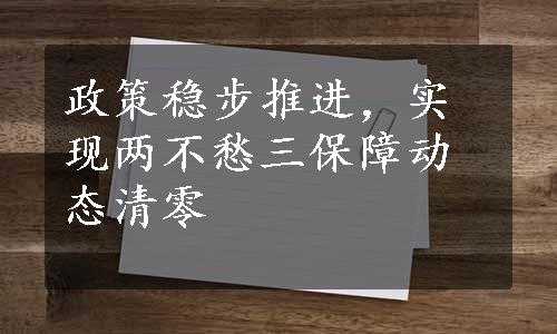 政策稳步推进，实现两不愁三保障动态清零