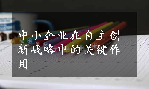 中小企业在自主创新战略中的关键作用