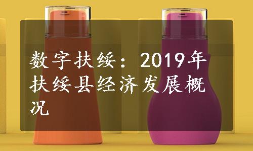 数字扶绥：2019年扶绥县经济发展概况