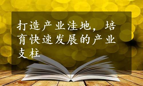 打造产业洼地，培育快速发展的产业支柱