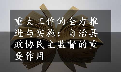 重大工作的全力推进与实施：自治县政协民主监督的重要作用