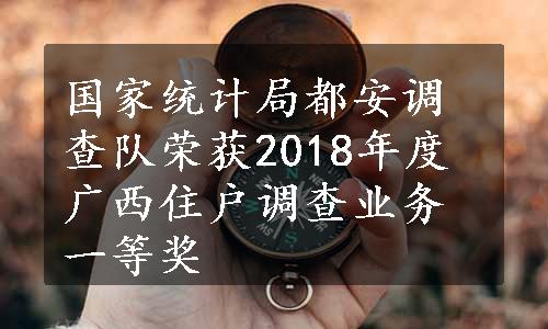 国家统计局都安调查队荣获2018年度广西住户调查业务一等奖