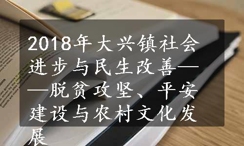 2018年大兴镇社会进步与民生改善——脱贫攻坚、平安建设与农村文化发展