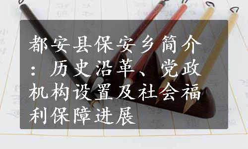 都安县保安乡简介：历史沿革、党政机构设置及社会福利保障进展