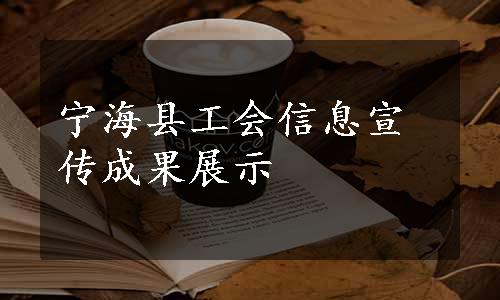 宁海县工会信息宣传成果展示