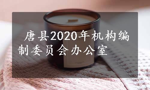  唐县2020年机构编制委员会办公室