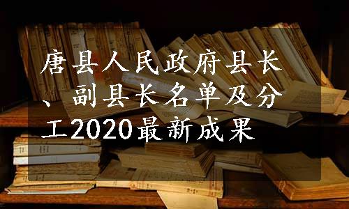 唐县人民政府县长、副县长名单及分工2020最新成果