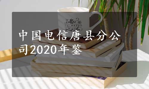 中国电信唐县分公司2020年鉴