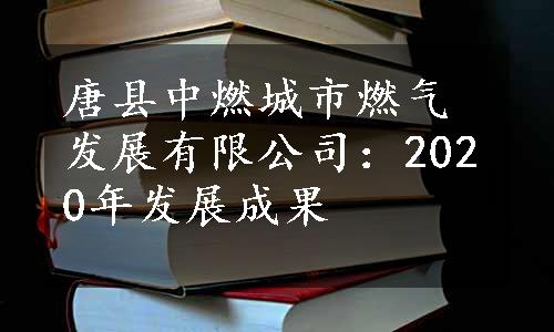 唐县中燃城市燃气发展有限公司：2020年发展成果