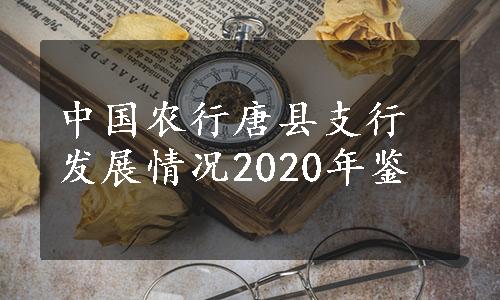 中国农行唐县支行发展情况2020年鉴