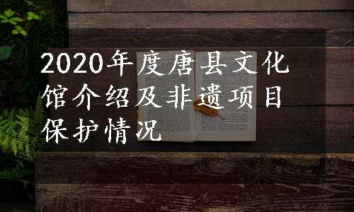 2020年度唐县文化馆介绍及非遗项目保护情况