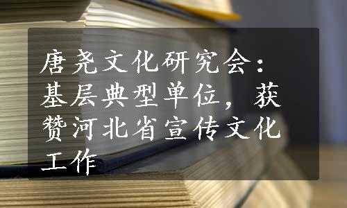 唐尧文化研究会：基层典型单位，获赞河北省宣传文化工作