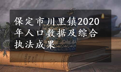 保定市川里镇2020年人口数据及综合执法成果