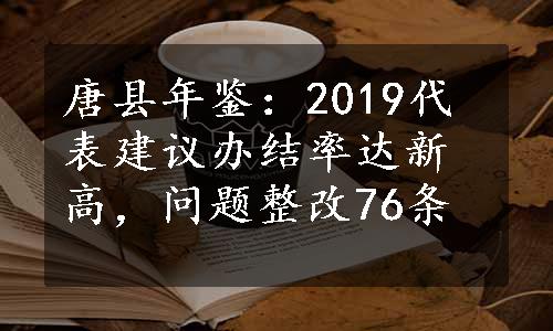 唐县年鉴：2019代表建议办结率达新高，问题整改76条