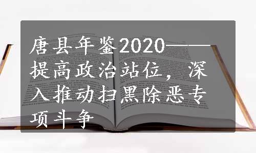 唐县年鉴2020——提高政治站位，深入推动扫黑除恶专项斗争