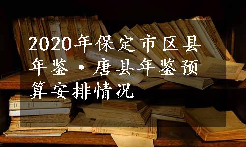 2020年保定市区县年鉴·唐县年鉴预算安排情况