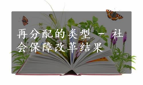 再分配的类型 - 社会保障改革结果