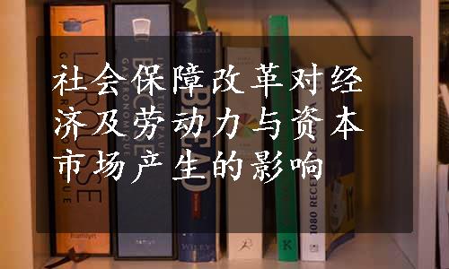 社会保障改革对经济及劳动力与资本市场产生的影响