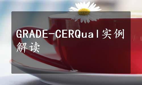 GRADE-CERQual实例解读