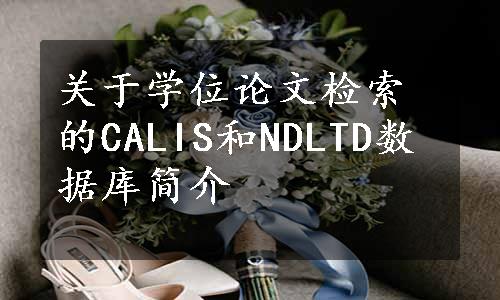 关于学位论文检索的CALIS和NDLTD数据库简介