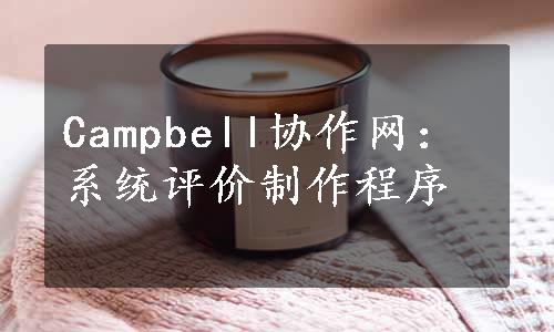 Campbell协作网：系统评价制作程序