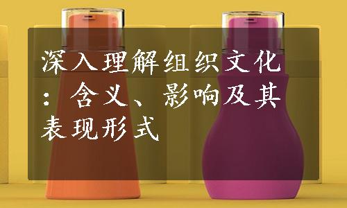 深入理解组织文化：含义、影响及其表现形式