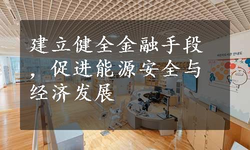 建立健全金融手段，促进能源安全与经济发展