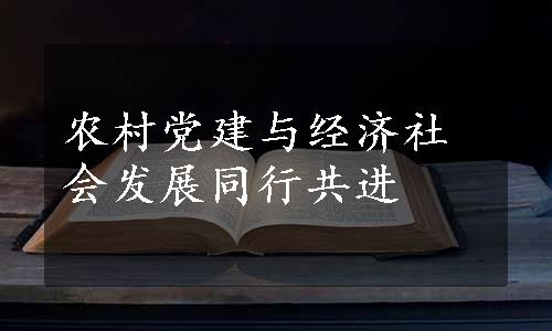 农村党建与经济社会发展同行共进