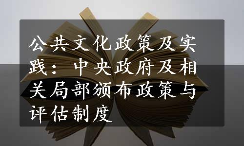 公共文化政策及实践：中央政府及相关局部颁布政策与评估制度