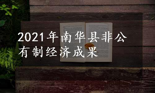 2021年南华县非公有制经济成果