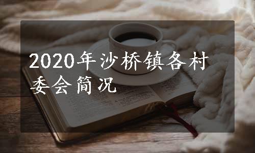 2020年沙桥镇各村委会简况