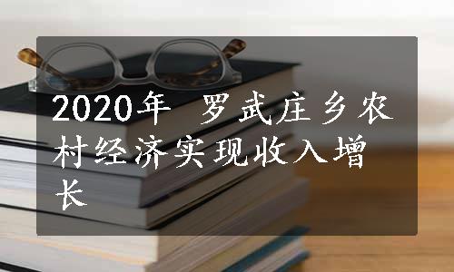 2020年 罗武庄乡农村经济实现收入增长