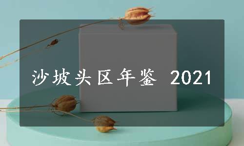 沙坡头区年鉴 2021