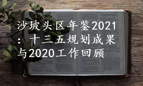 沙坡头区年鉴2021：十三五规划成果与2020工作回顾