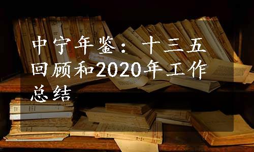 中宁年鉴：十三五回顾和2020年工作总结