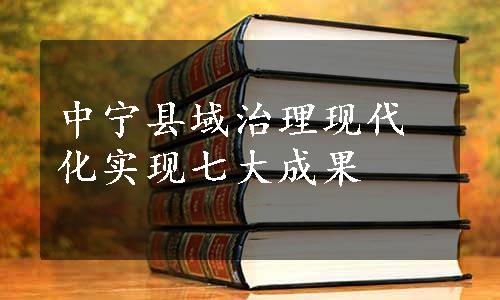 中宁县域治理现代化实现七大成果