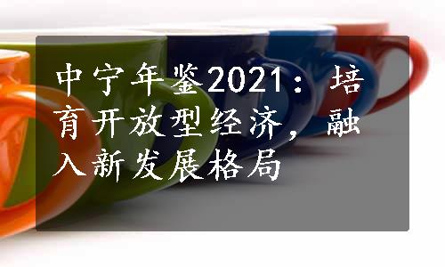 中宁年鉴2021：培育开放型经济，融入新发展格局