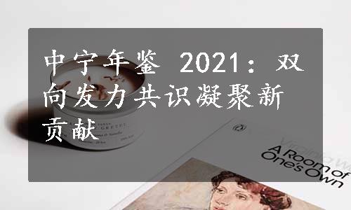 中宁年鉴 2021：双向发力共识凝聚新贡献