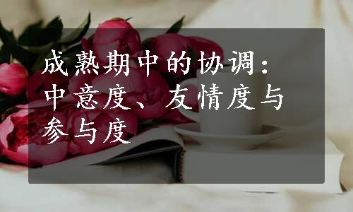 成熟期中的协调：中意度、友情度与参与度