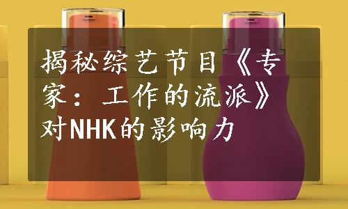 揭秘综艺节目《专家：工作的流派》对NHK的影响力