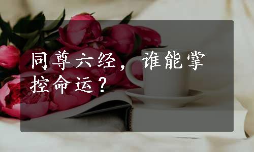 同尊六经，谁能掌控命运？