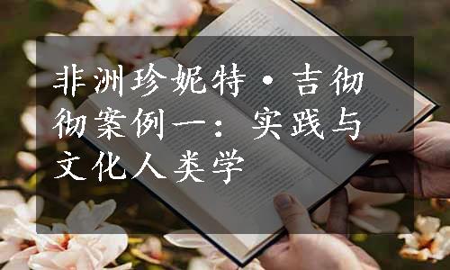 非洲珍妮特·吉彻彻案例一：实践与文化人类学