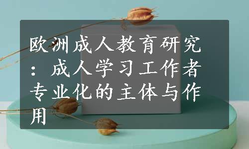 欧洲成人教育研究：成人学习工作者专业化的主体与作用