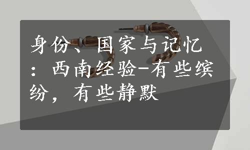 身份、国家与记忆：西南经验-有些缤纷，有些静默