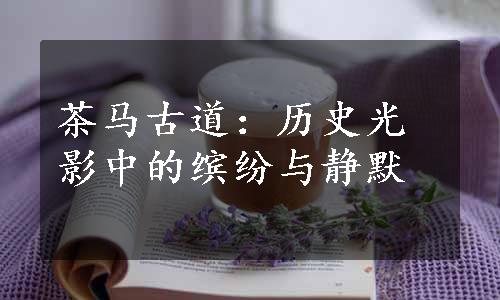 茶马古道：历史光影中的缤纷与静默