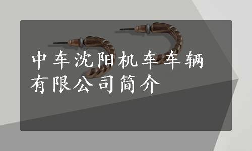 中车沈阳机车车辆有限公司简介