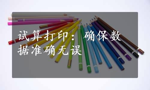 试算打印：确保数据准确无误