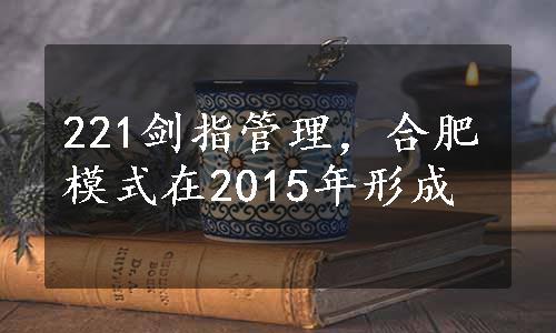 221剑指管理，合肥模式在2015年形成