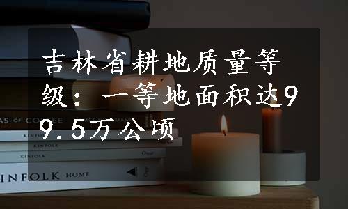 吉林省耕地质量等级：一等地面积达99.5万公顷